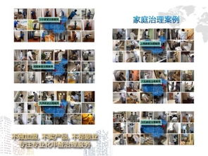 成都甲醛治理与保洁服务选择指南 如何找到经济实惠的可靠公司