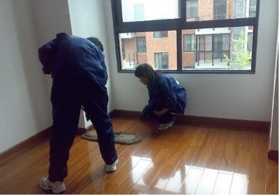 厦门阳桄家政 专业地毯与工厂清洗，明码标价服务周到