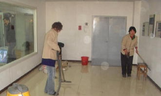 新居焕新颜 全方位保洁服务指南