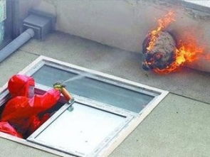 广州灭马蜂公司 安全彻底清除杀蜂虫，兼谈保洁清洗服务